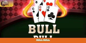 Bull Bull