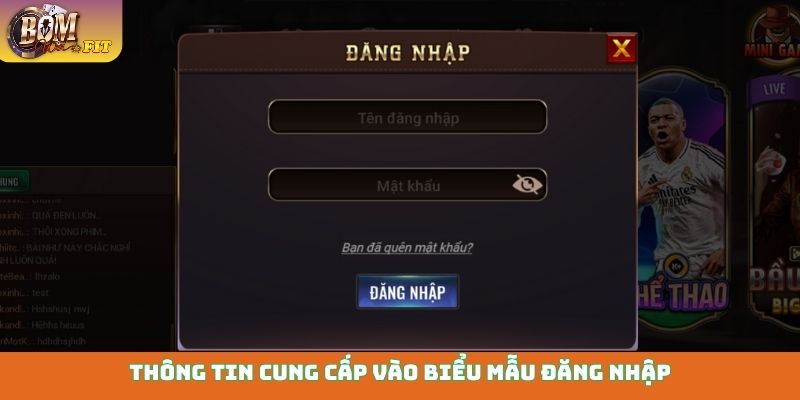Thông tin cung cấp vào biểu mẫu đăng nhập