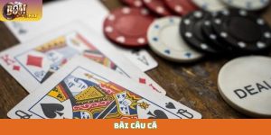 Bài Câu Cá